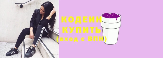 прущие грибы Нязепетровск