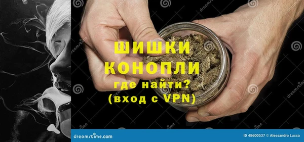 прущая мука Няндома
