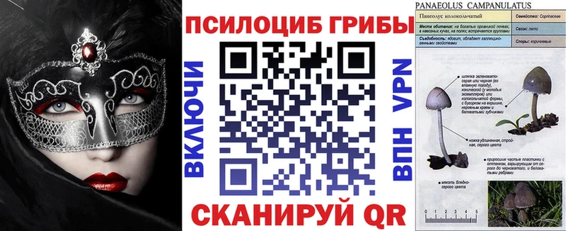 Псилоцибиновые грибы ЛСД  Среднеуральск 